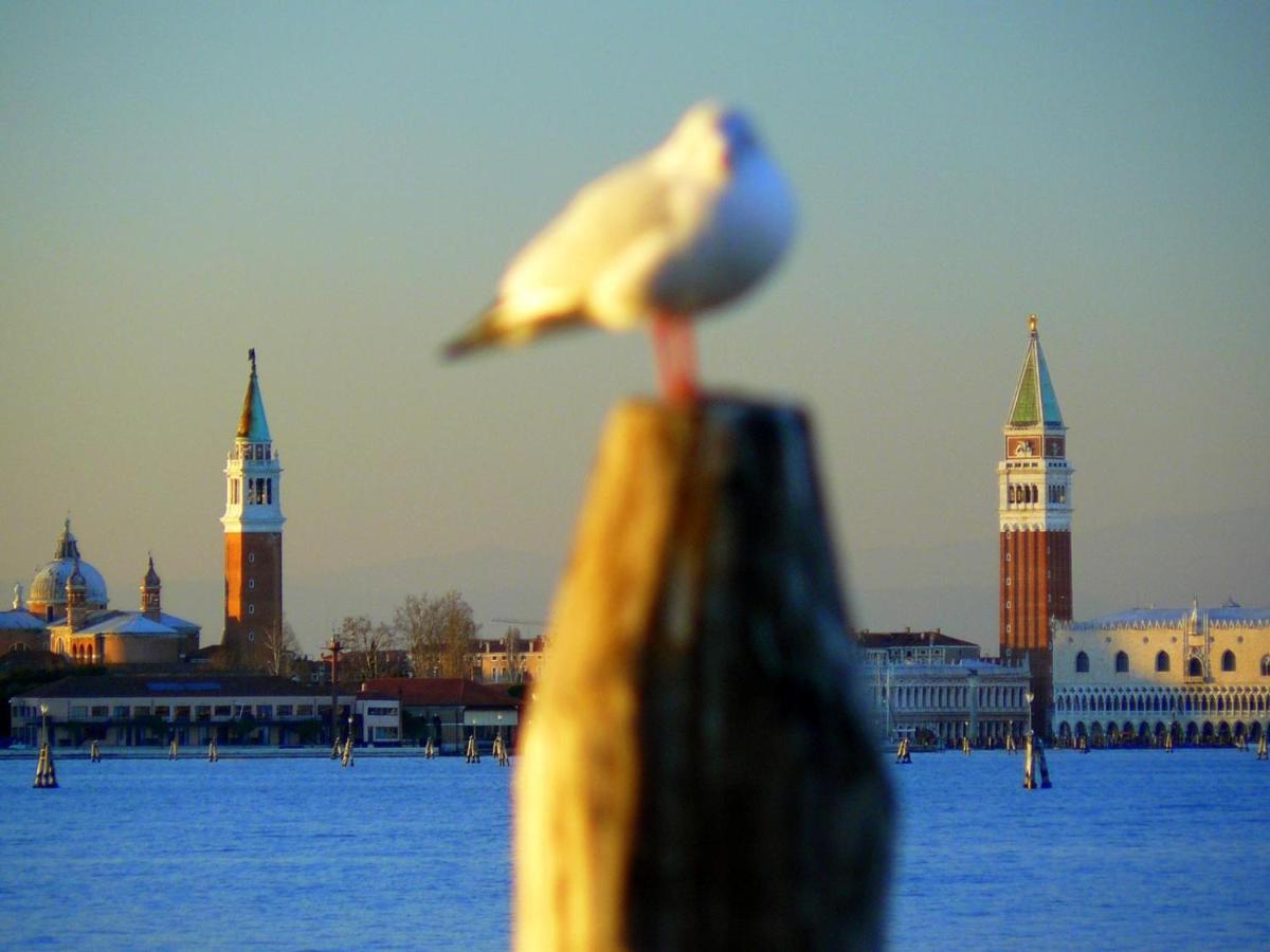 Villa Venice Movie Lido di Venezia Zewnętrze zdjęcie